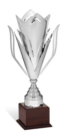 Coppa in metallo argento