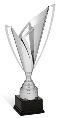 Coppa di design in metallo