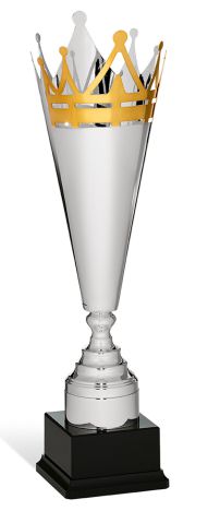 Coppa in metallo color argento