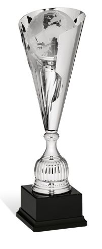 coppa premiazioni prestigiose 95060