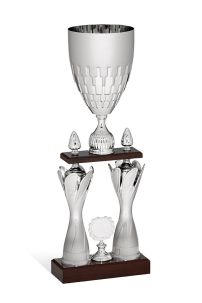 coppa di prestigio 95071