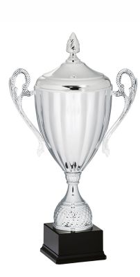 coppa premiazioni prestigiose 95093