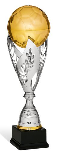coppa da calcio di prestigio 95279