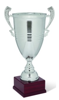 coppa di design premiazione 97307