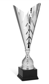 coppa economica 96 081