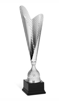 coppe economiche 96 100