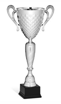 coppe economiche 96 154