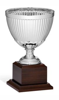 coppe economiche 96 174