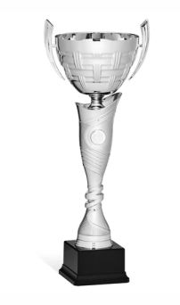 coppa economica 96 176