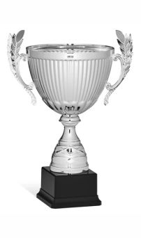 coppa economica 96 178