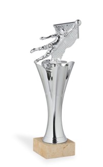 trofeo-calcio-9515