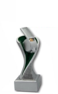 Trofeo arbitro calcio