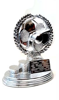 Trofeo per arbitri
